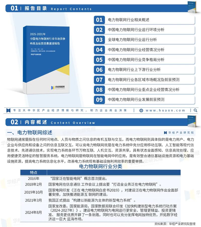 2025年中國電力物聯(lián)網(wǎng)行業(yè)市場調(diào)查報告